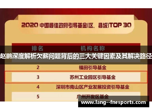 赵鹏深度解析欠薪问题背后的三大关键因素及其解决路径