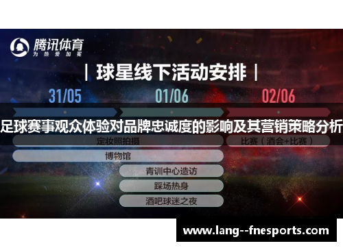 足球赛事观众体验对品牌忠诚度的影响及其营销策略分析